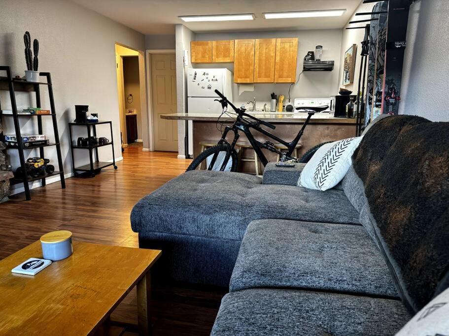 Cozy Condo In Winter Park - On Blue Bus Route - Walk To Downtown, Restaurants, Grocery Экстерьер фото